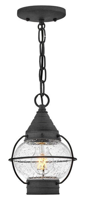 Cape Cod 1L convertible flush mount - 2203DZ