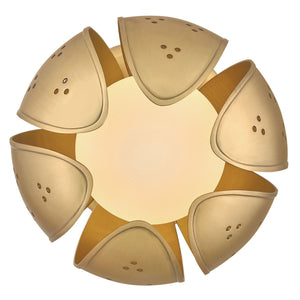 Anthos 1L semi-flush mount - FR46962UB-LL *